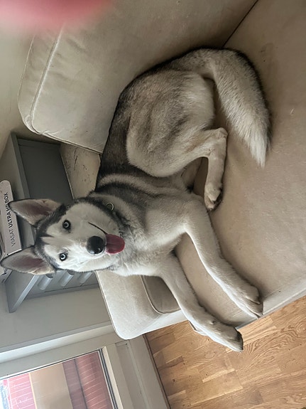 Product image 4 of 8