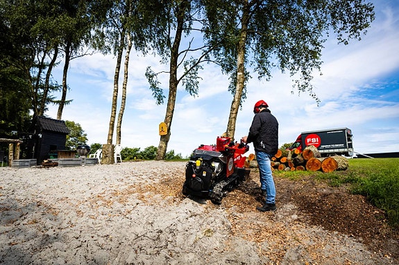 Stubbfräs FSI B31 2 of 3