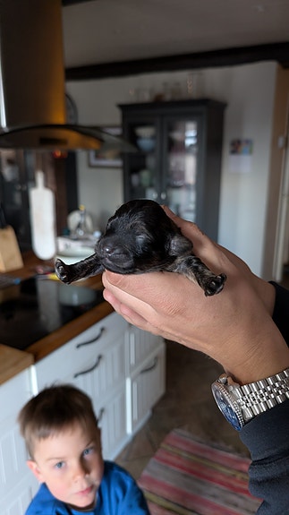 Product image 3 of 9