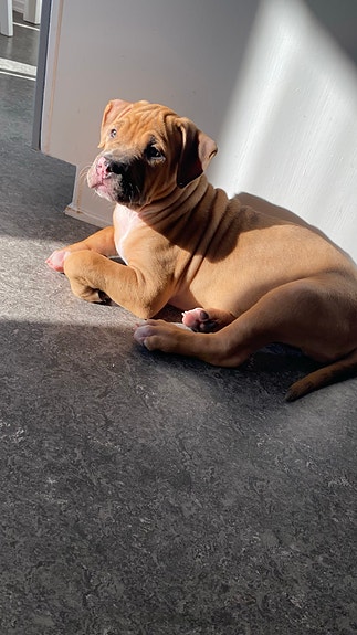 Product image 3 of 8