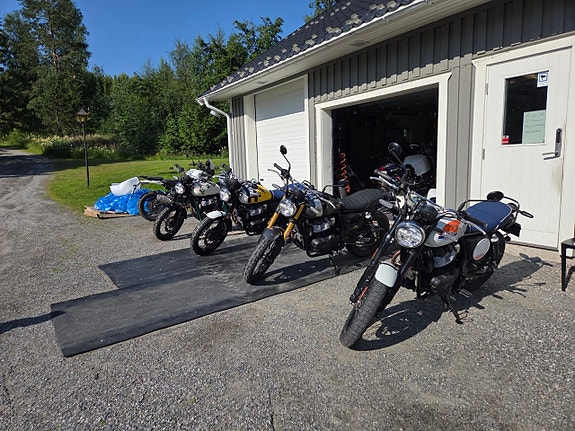 Royal Enfield Bear 650 17 of 17
