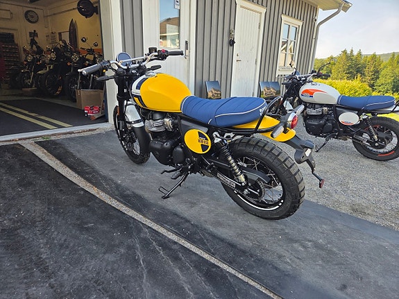 Royal Enfield Bear 650 14 of 17