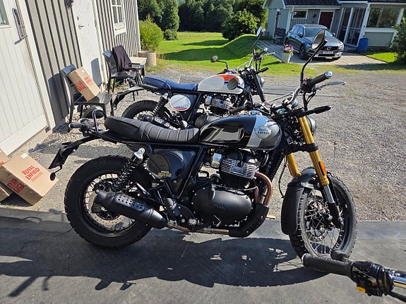 Royal Enfield Bear 650 3 of 5
