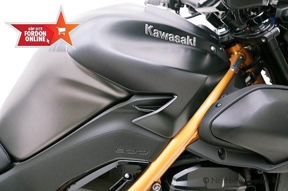 Kawasaki Z900 Hemleverans 10 of 14