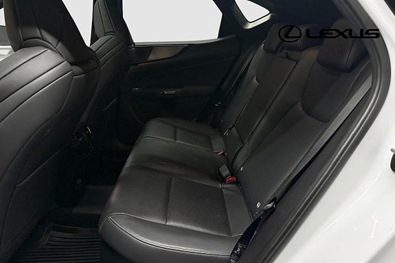 Lexus NX450h+ 14 of 19