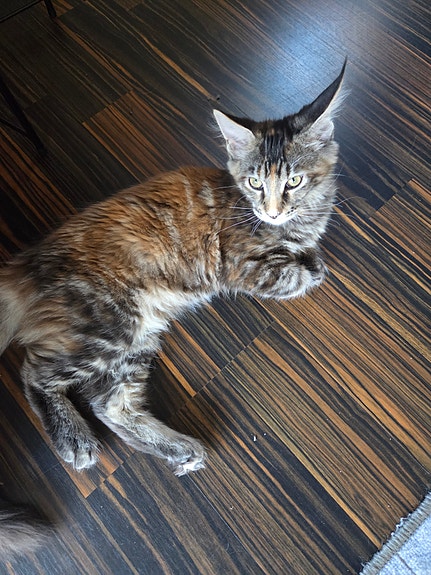 Product image 2 of 6