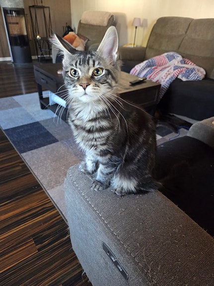 Product image 4 of 6