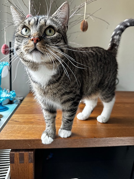 Product image 5 of 9