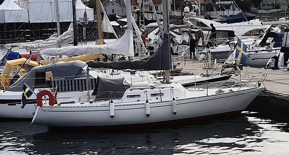 ACCENT 26 (ALBIN) — View photo 1