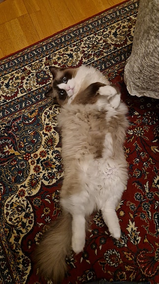 Product image 9 of 9