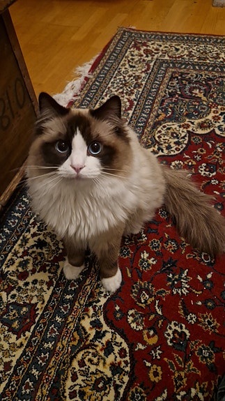 Product image 7 of 9