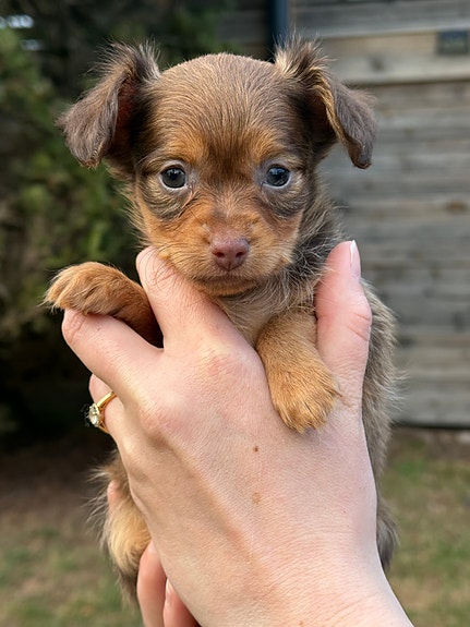 Product image 7 of 8