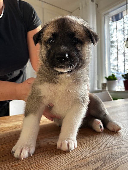 Product image 3 of 9