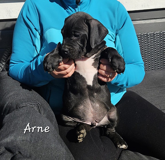 Product image 6 of 9