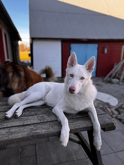 Product image 4 of 9