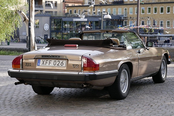 Jaguar XJS 10 of 30