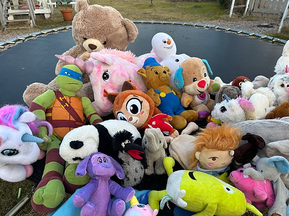 Product image 5 of 10