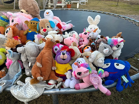 Product image 3 of 10