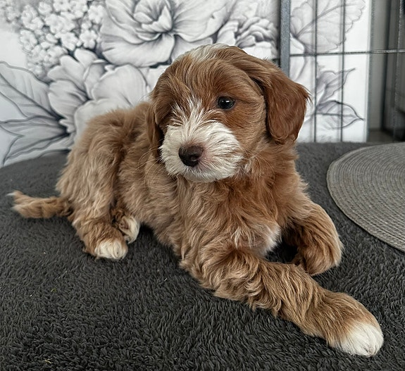 Product image 4 of 9