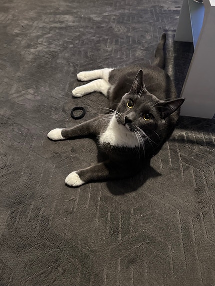 Product image 7 of 7