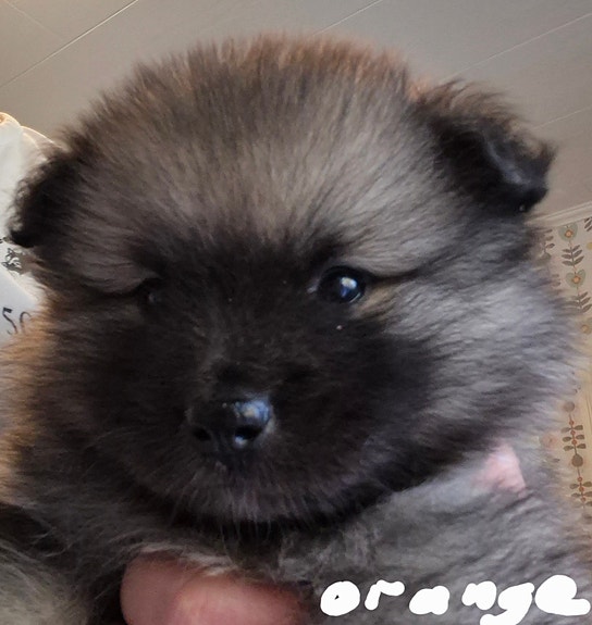 Product image 3 of 8