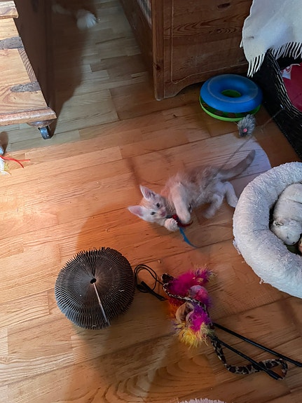 Product image 5 of 5