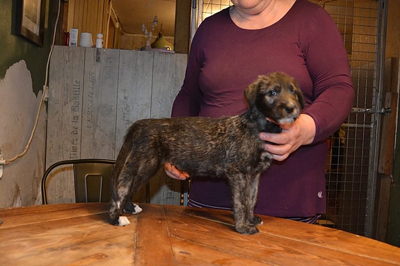 Product image 3 of 7