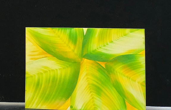 Product image 17 of 40