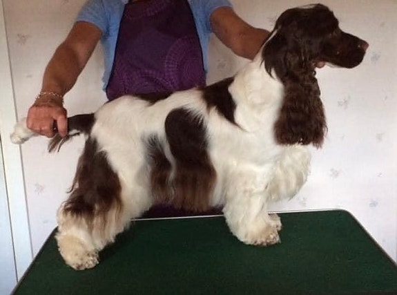 Product image 4 of 9