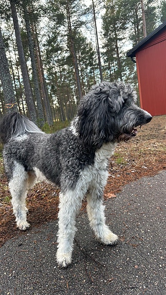 Product image 8 of 9