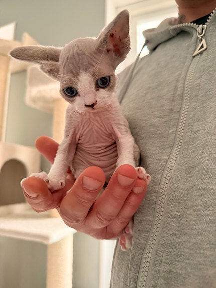 Product image 2 of 4