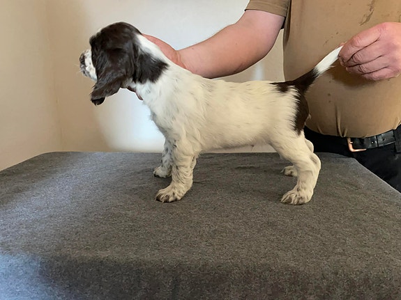 Product image 2 of 9