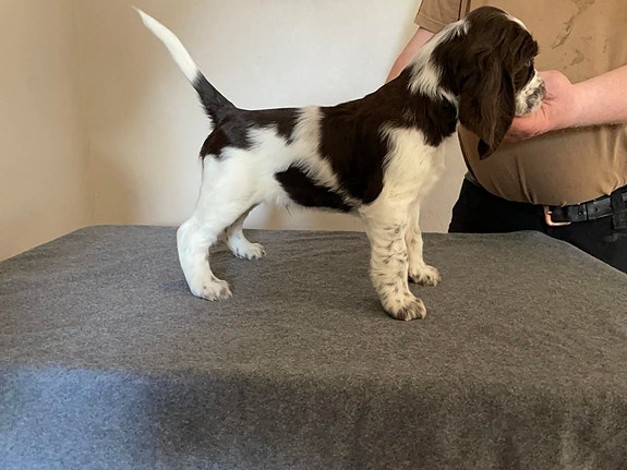 Product image 3 of 9