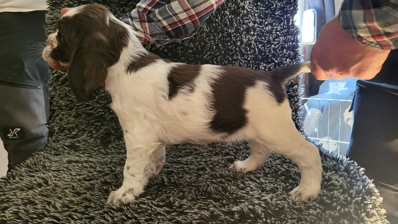 Product image 7 of 9