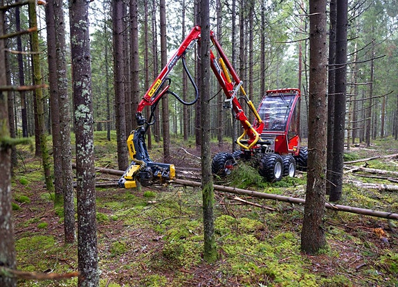 Skogsdag KRANMAN - Måndag 11 MAJ