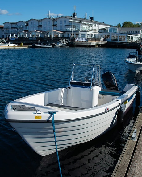Cremo 470SC -26 Mercury F30 EFI -26 JUBILEUMSERBJUDANDE 20ÅR 3 of 5