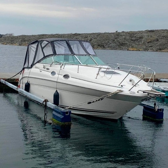 Sea Ray 260 Sundancer