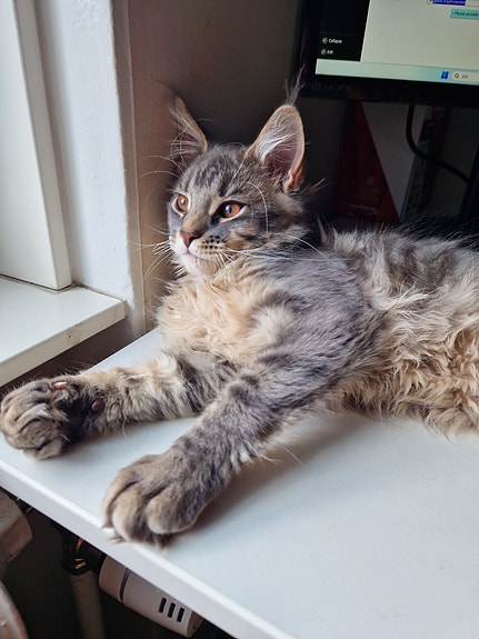 Product image 5 of 6