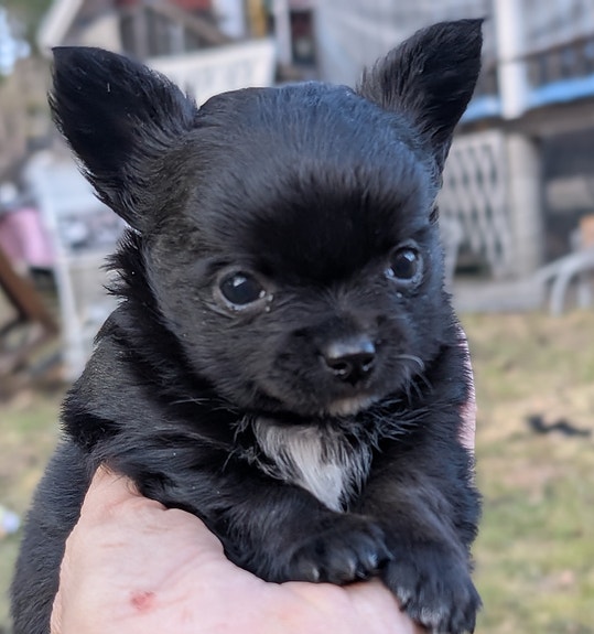 Product image 3 of 7