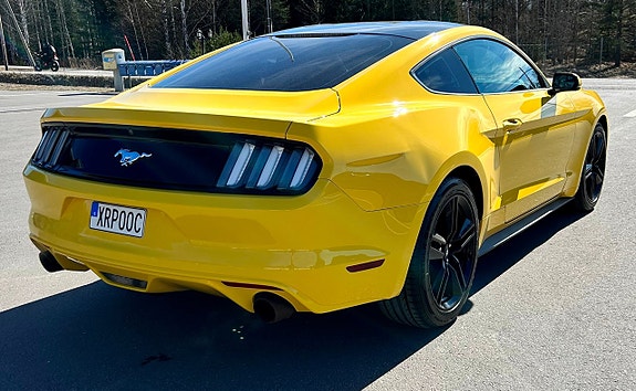 Ford Mustang 5 of 5