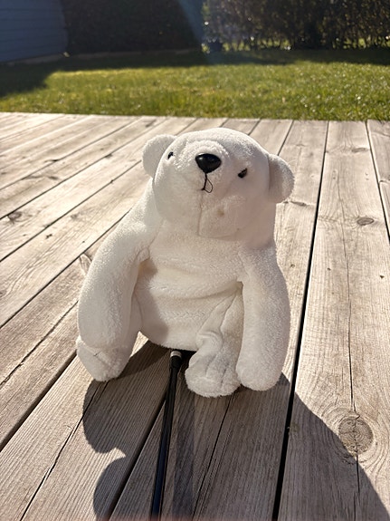 Product image 22 of 25