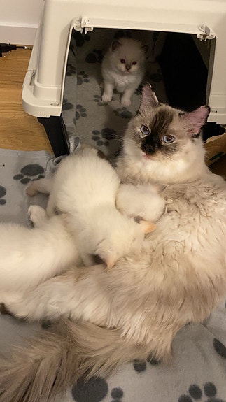 Product image 3 of 5