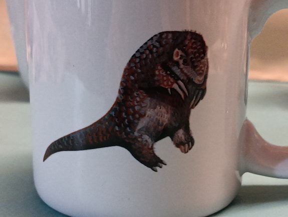 Product image 14 of 20