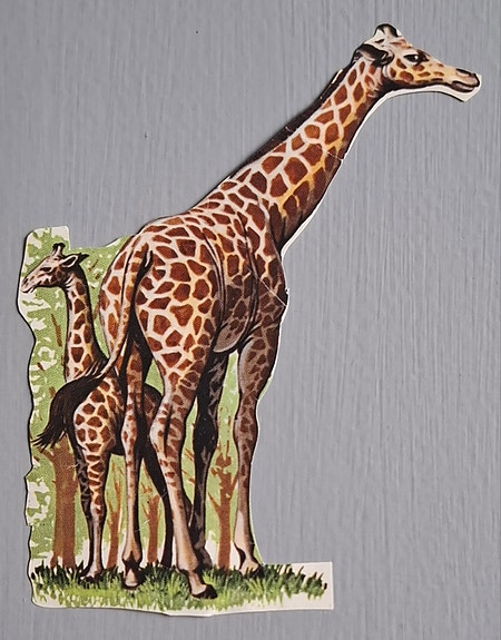 Product image 12 of 13