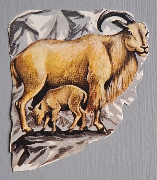 Product image 11 of 13