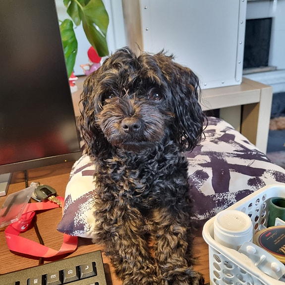 Product image 3 of 8