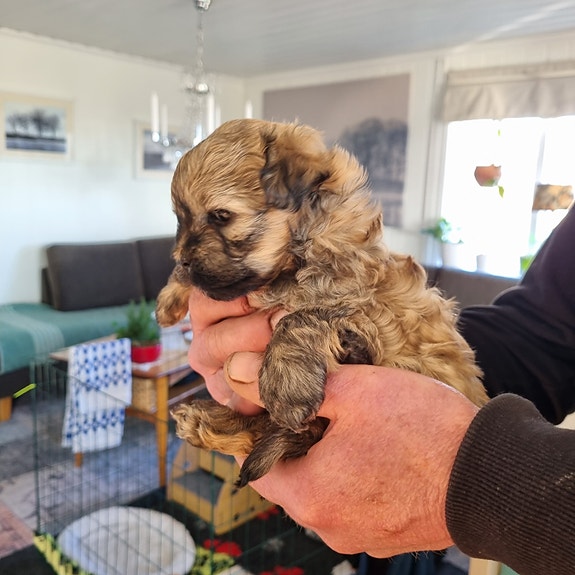 Product image 4 of 8