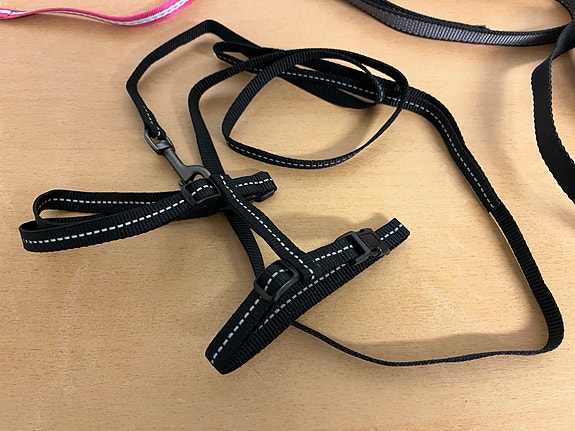 Product image 22 of 40