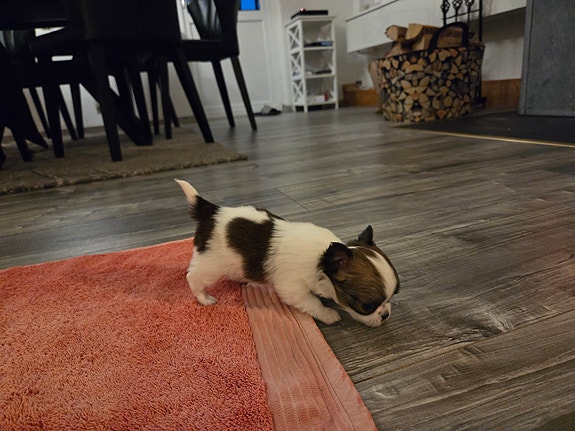 Product image 10 of 10