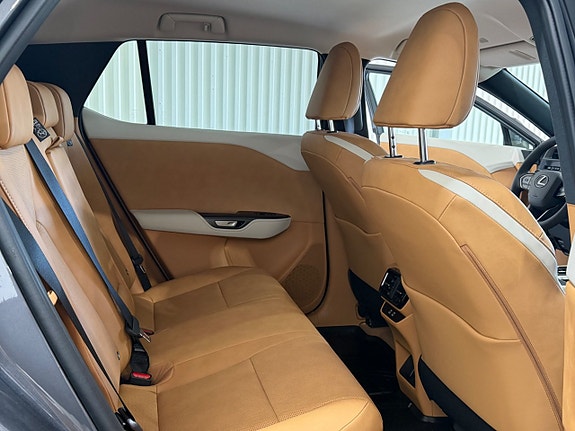 Lexus RZ350e 20 of 28